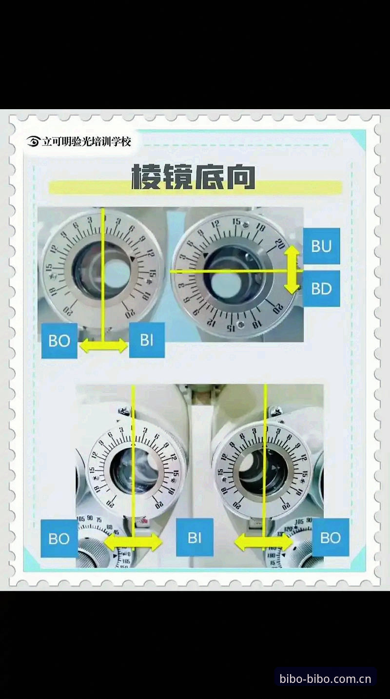 BIBO安全吗？新手必看的全方位使用指南与常见问题解析