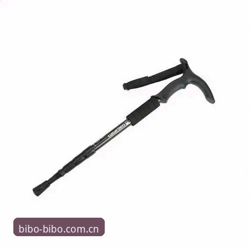 必博体育官网安全评测完整指南：BIBO平台使用体验与数据保护深度解析