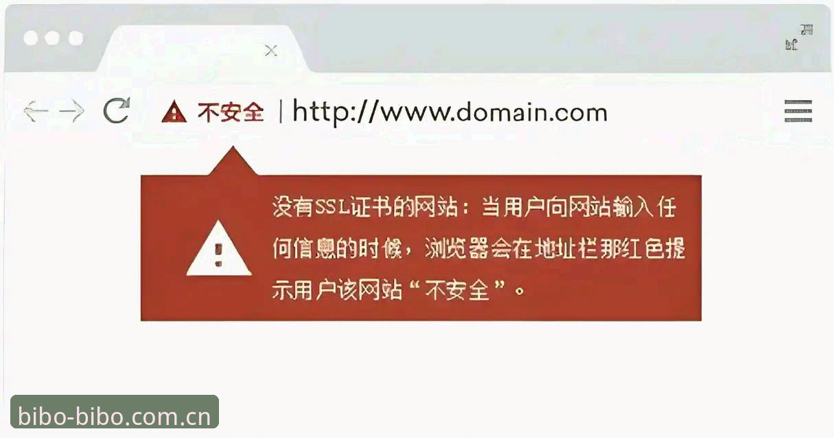 BIBO安全登录入口安装失败 BIBO安全登录入口安装失败深度分析:5大常见原因与全面解决方案